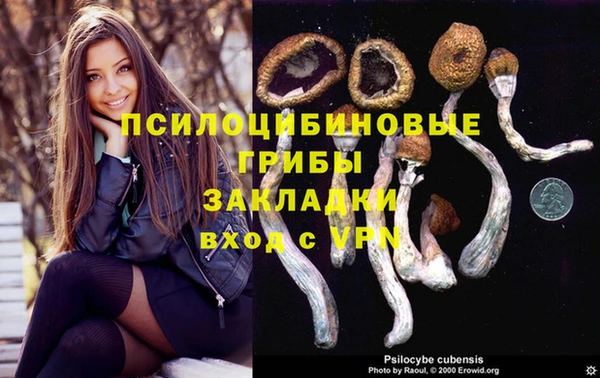 амф Алзамай