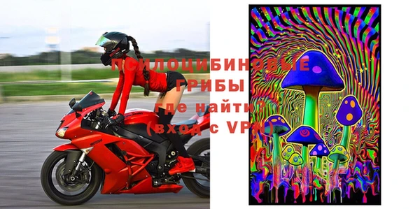 mdpv Новозыбков