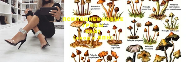 mdpv Новозыбков