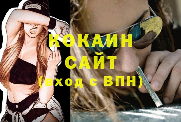амф Алзамай