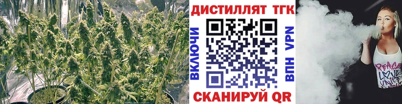 ТГК концентрат  Саров 