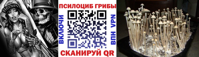 где продают Саров Галлюциногенные грибы мицелий